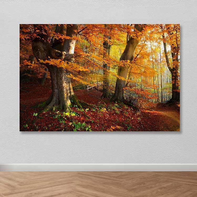 Wallity Слика Kanvas Tablo-80, 50x70 cm