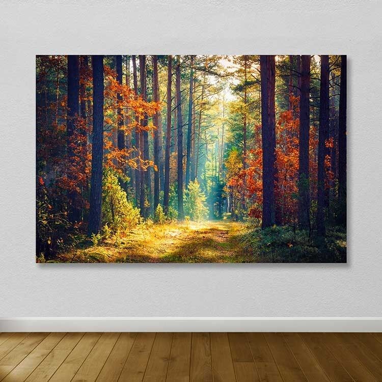 Wallity Слика KNV9970, 50x70 cm