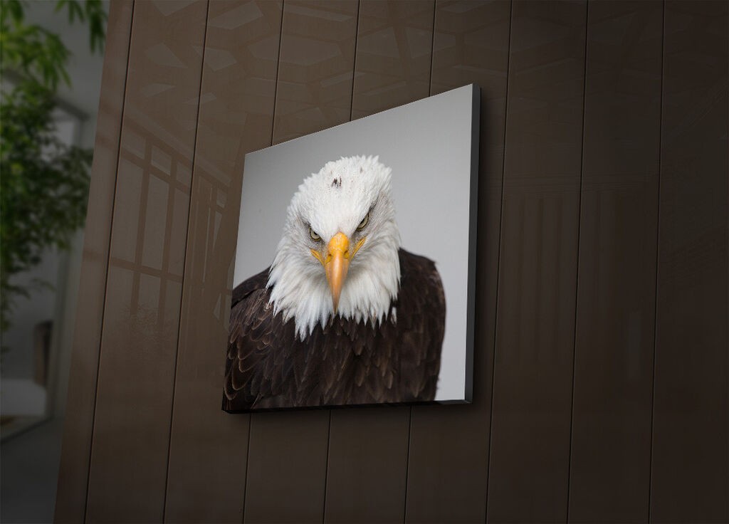 Wallity Слика 221JRS1376, 46x72 cm