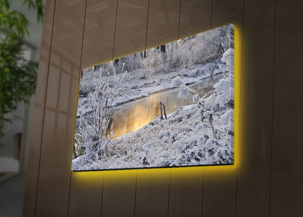 Wallity Слика со LED Осветлување ABD-003, 45x70 cm