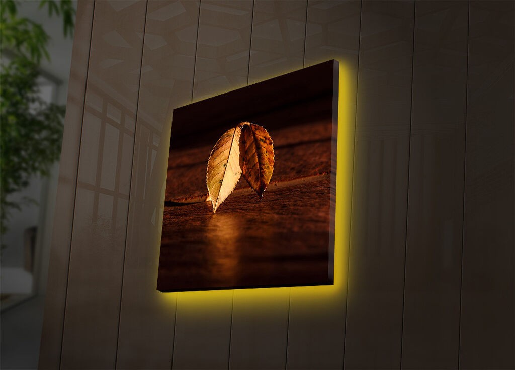 Wallity Слика 221JRS1344, 60x90 cm