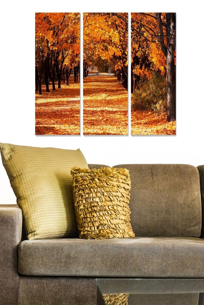 Wallity Сет Слики Сет_054, 6 Делови