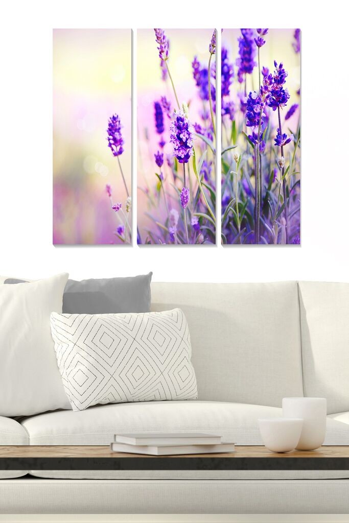 Wallity Сет Слики MDF9181416, 3 Дела