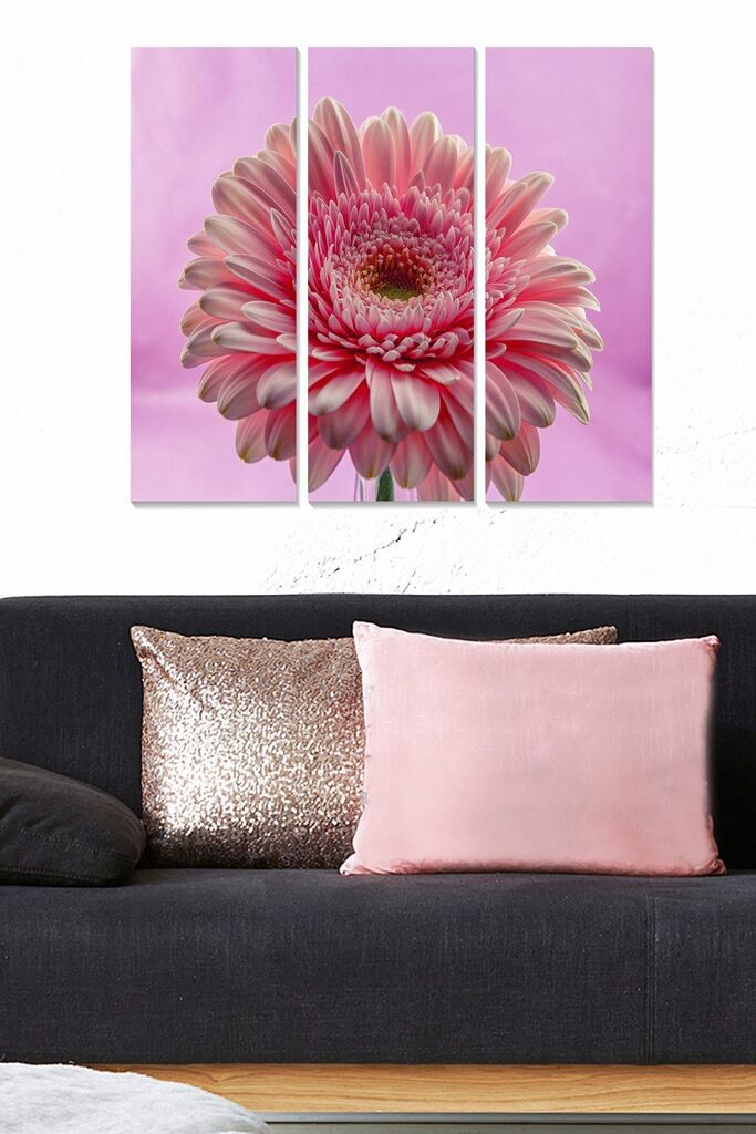 Wallity Слика WY314, 50x70 cm