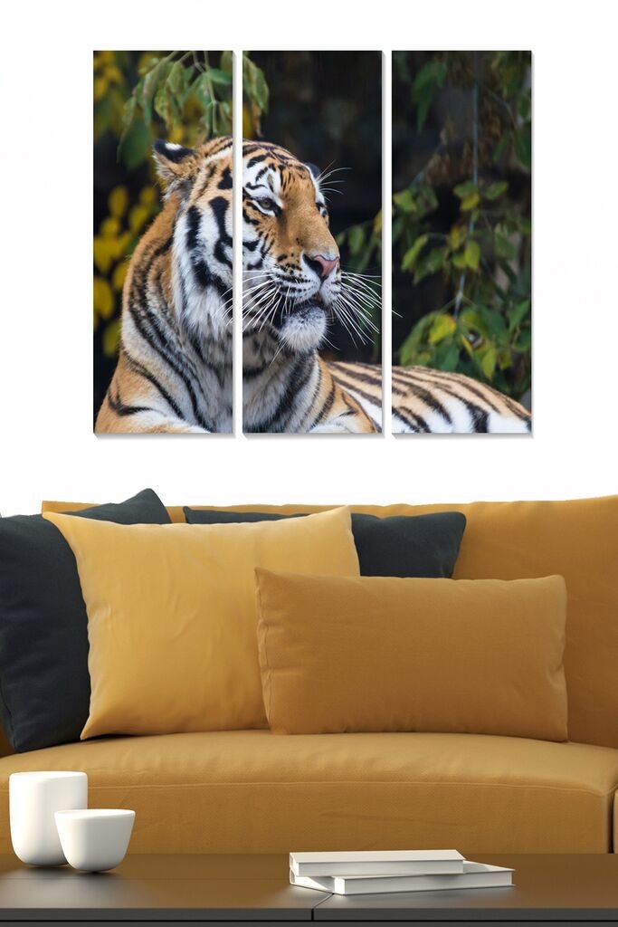 Wallity Сет Слики MDF576112465, 3 Дела