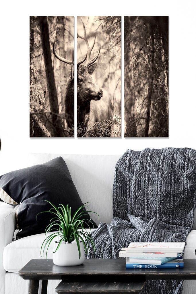 Wallity Сет Слики MDF91986029, 3 Дела