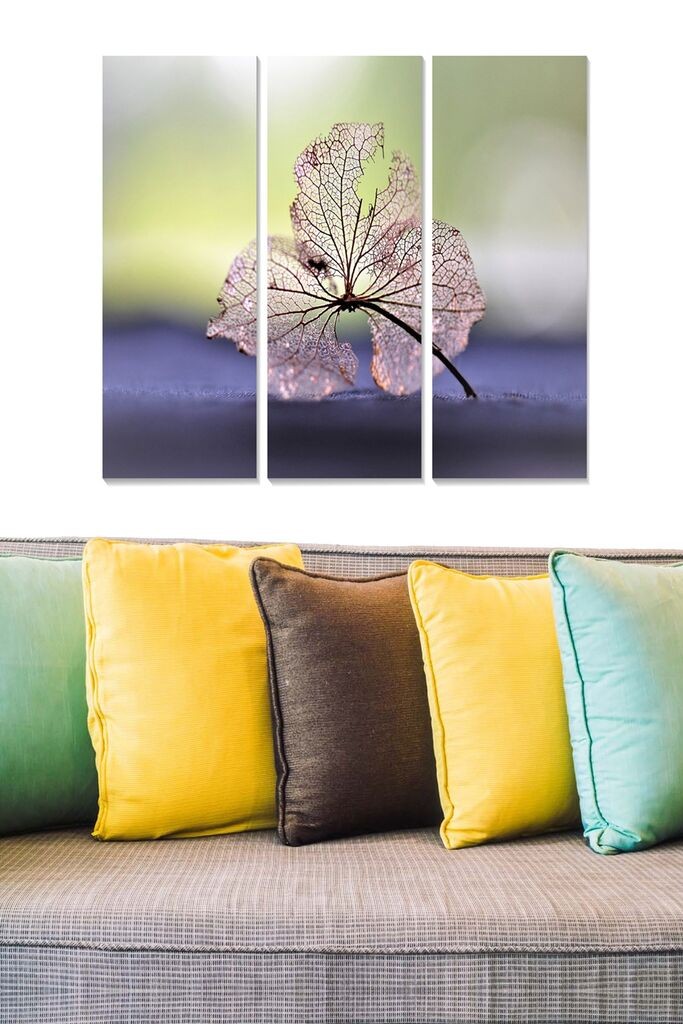 Wallity Сет Слики MDF96283634, 3 Дела