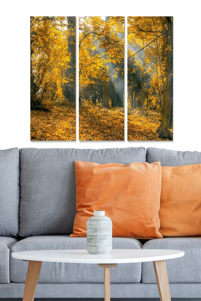 Wallity Сет Слики MDF895935, 3 Дела