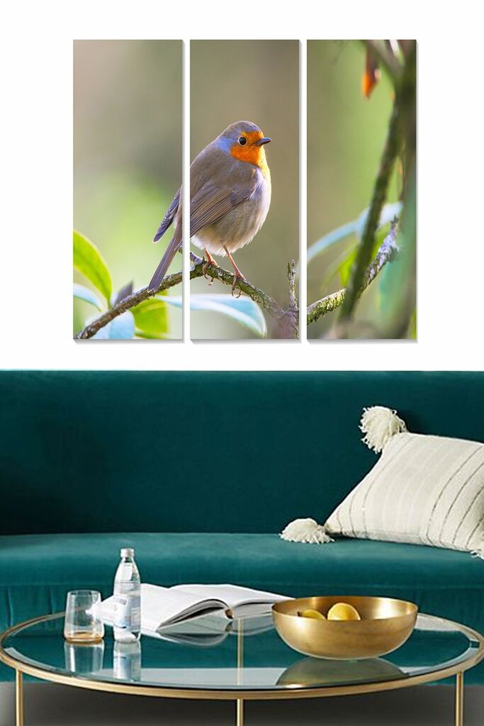 Wallity Сет Слики MDF75989779, 3 Дела