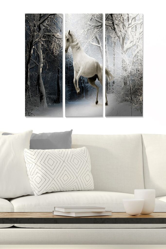 Wallity Слика YTY770618758_50120, 50x120 cm