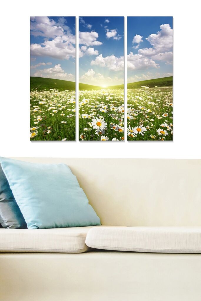 Wallity Сет Слики MDF89336530, 3 Дела