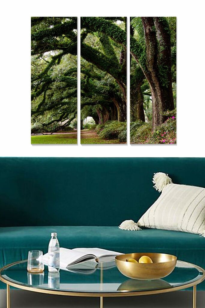 Wallity Сет Слики MDF7436501594565, 3 Дела