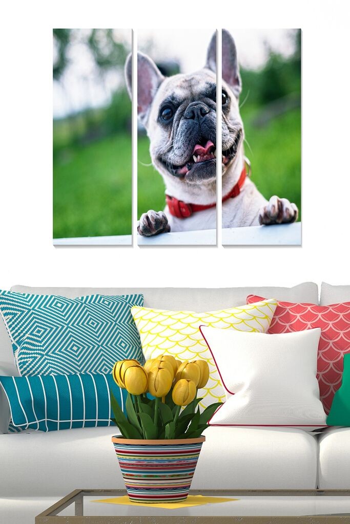 Wallity Сет Слики MDF585496625, 3 Дела