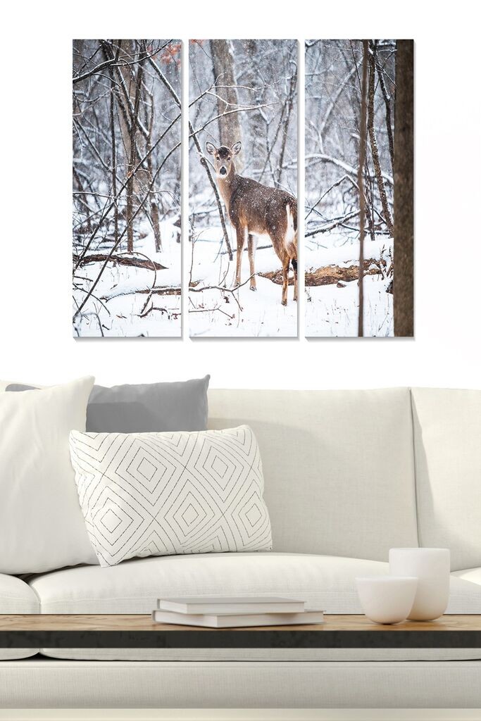 Wallity Сет Слики MDF461805664, 3 Дела