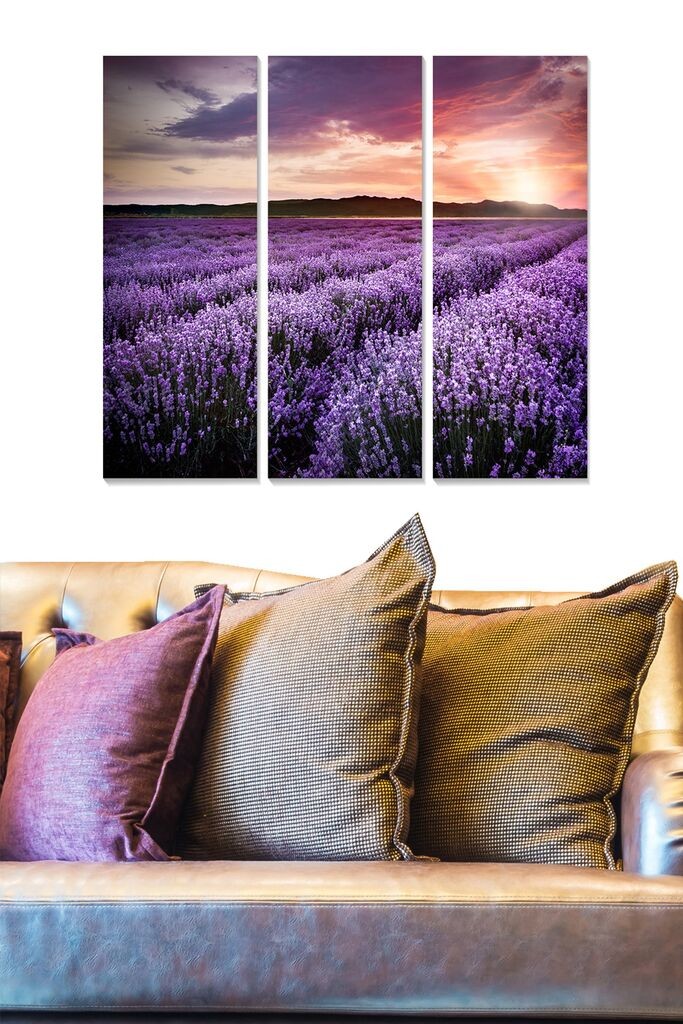 Wallity Слика YTY300990296_50120, 50x120 cm