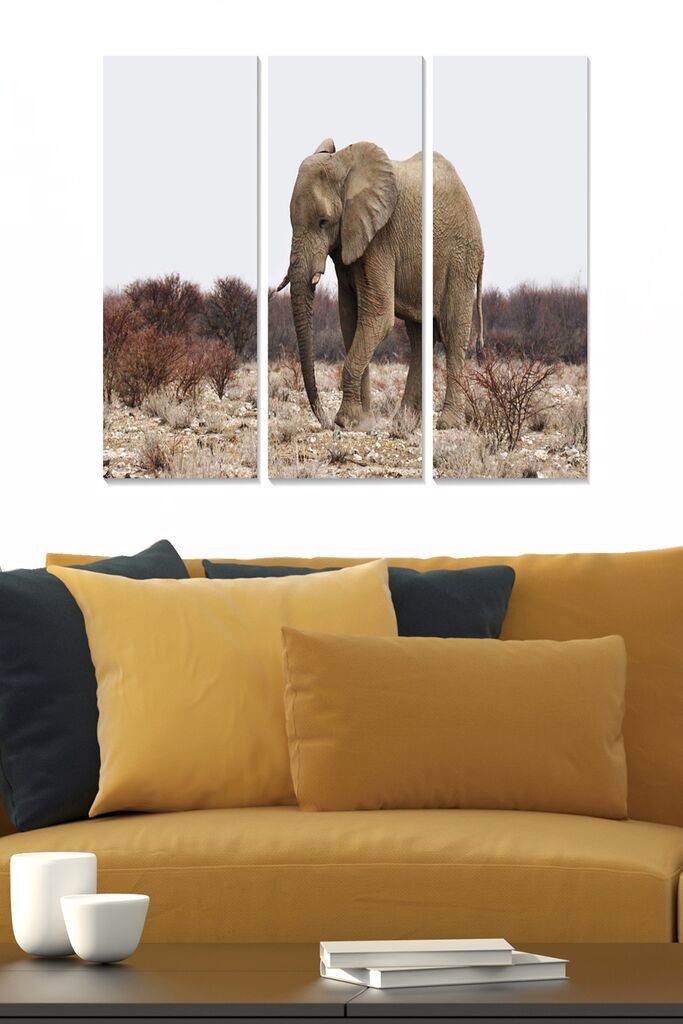 Wallity Сет Слики MDF45081946, 3 Дела