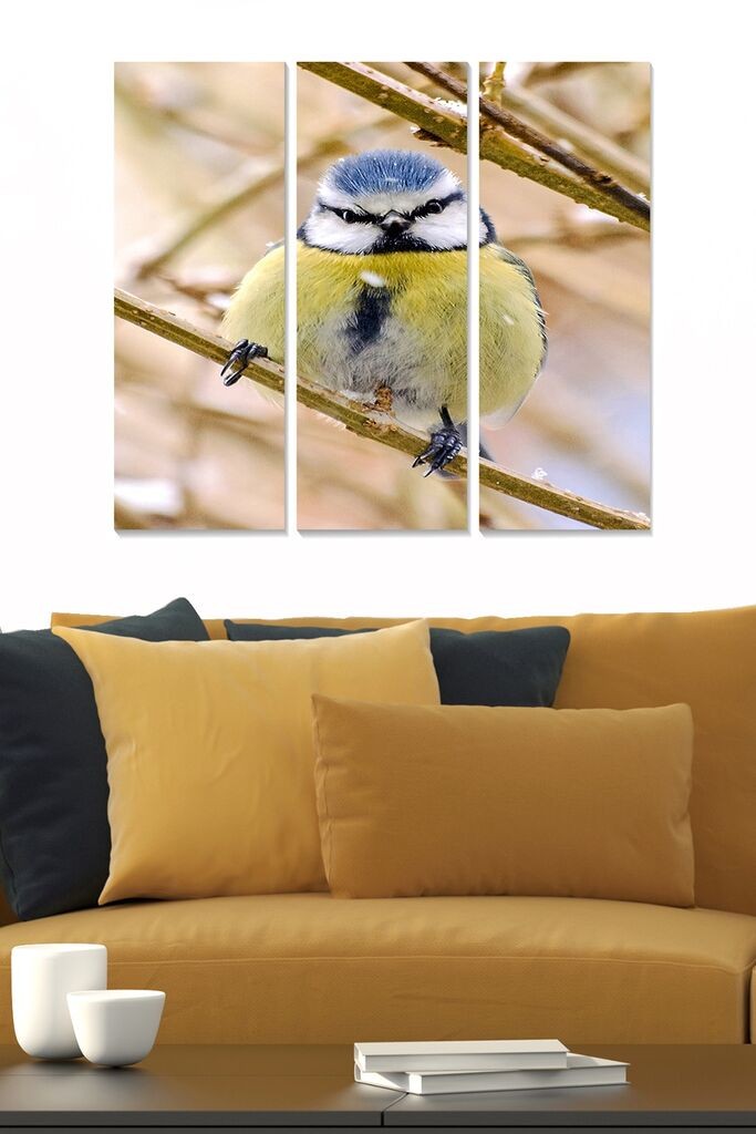 Wallity Сет Слики MDF8717200, 3 Дела