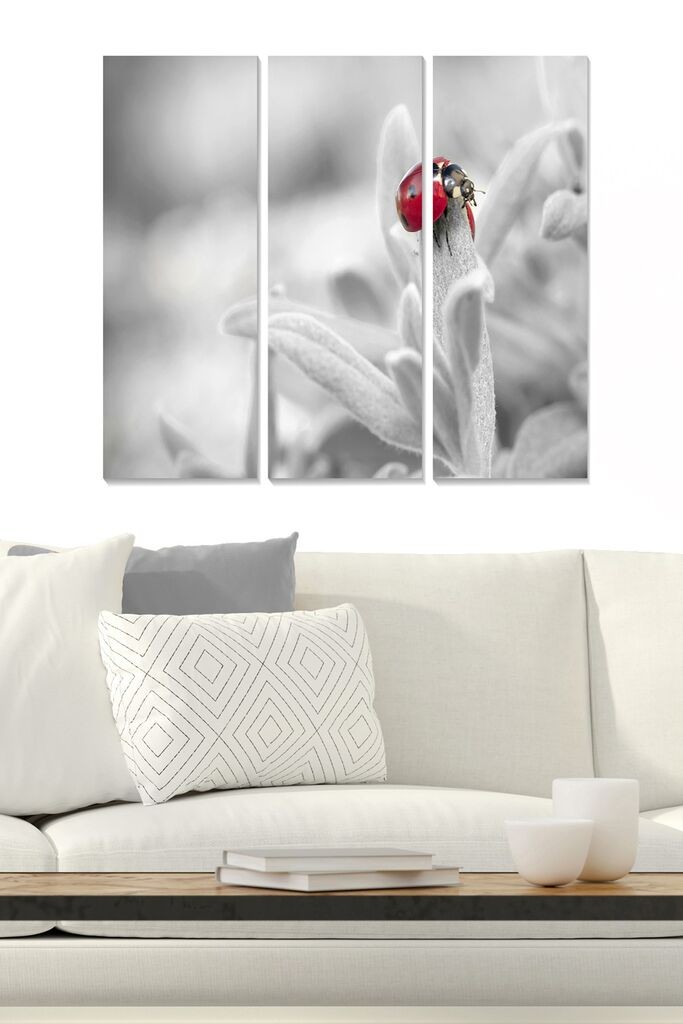 Wallity Сет Слики MDF796483, 3 Дела