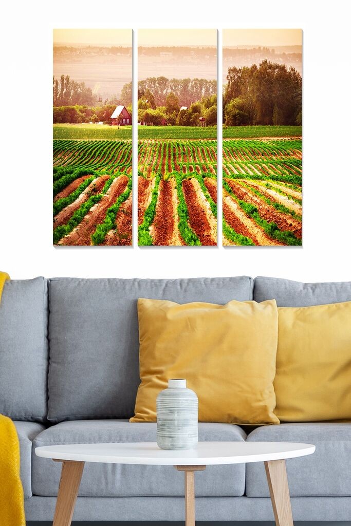 Wallity Сет Слики MDF67319566, 3 Дела