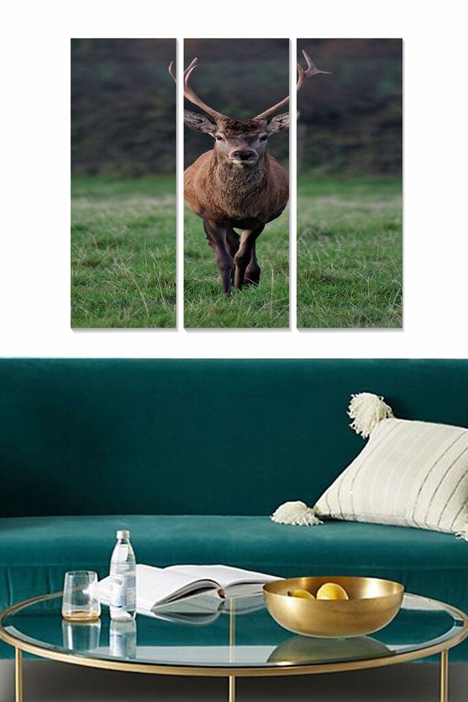 Wallity Сет Слики MDF749692, 3 Дела