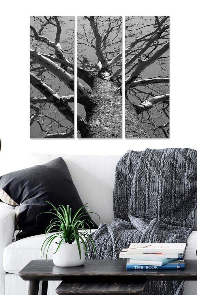 Wallity Сет Слики MDF662345242, 3 Дела