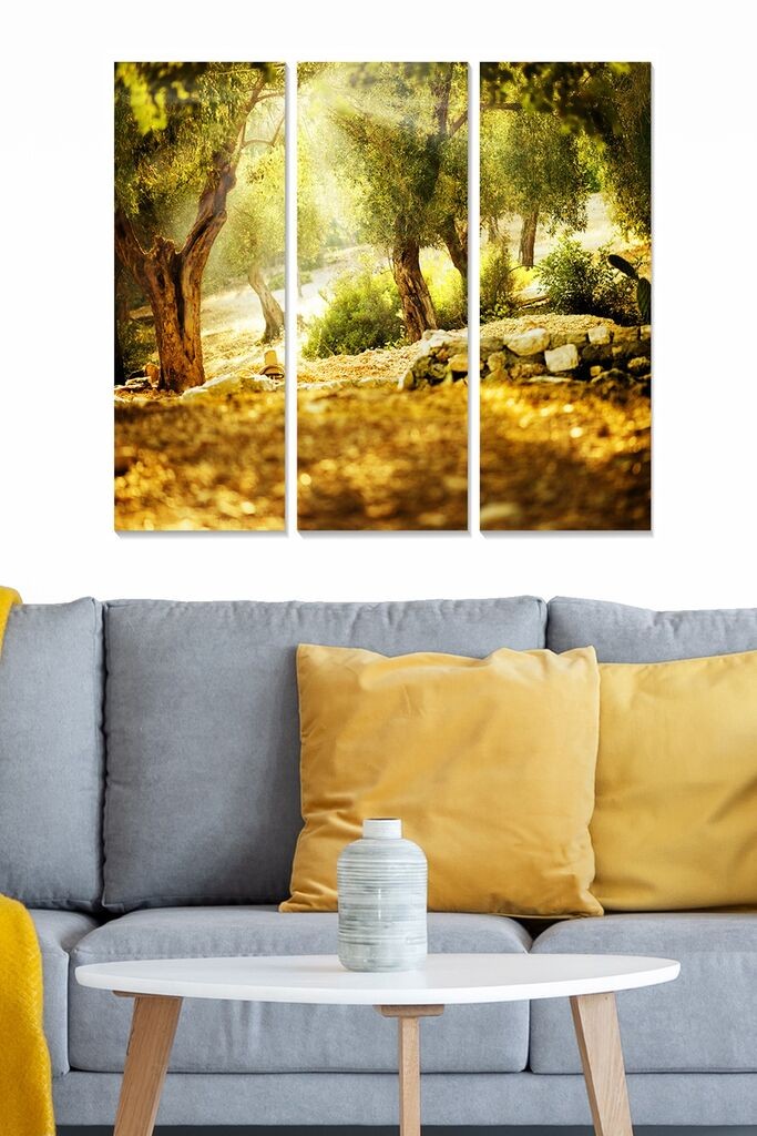 Wallity Сет Слики MDF84462340, 3 Дела