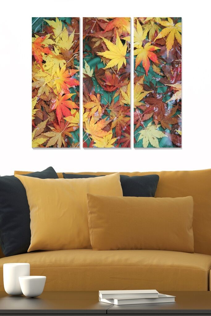 Wallity Сет Слики MDF96722389, 3 Дела