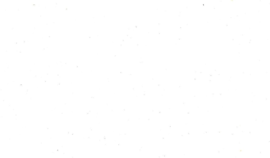 Canped MOM Хигиенски гаќи за еднократна употреба L/XL / 10 парчиња