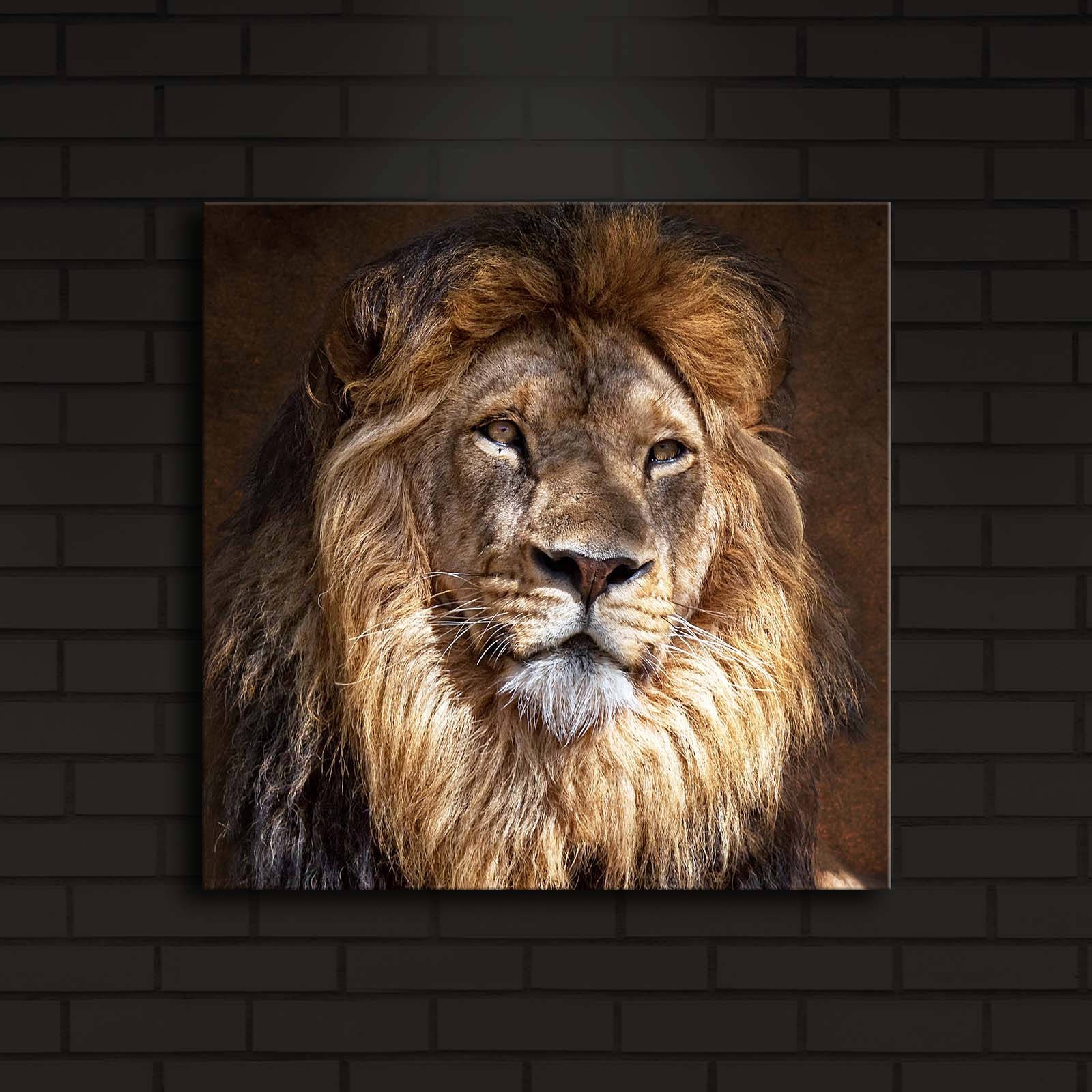 Слика „Волити" на платно со LED осветлување 40x40 см