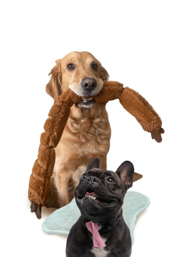 Играчка за кучиња „Шепи и мустаќи" Хавхав 1013, кафеава