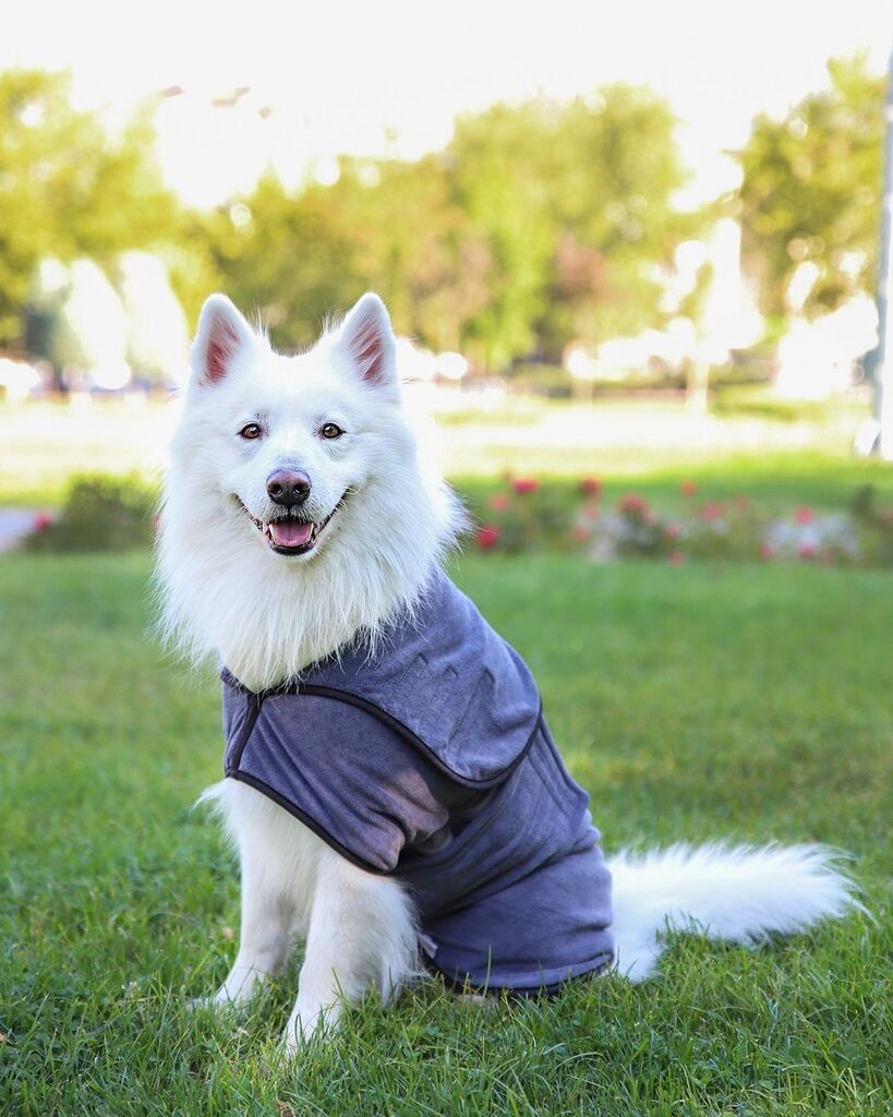 Палто за кучиња „Шепи и мустаќи", сиво