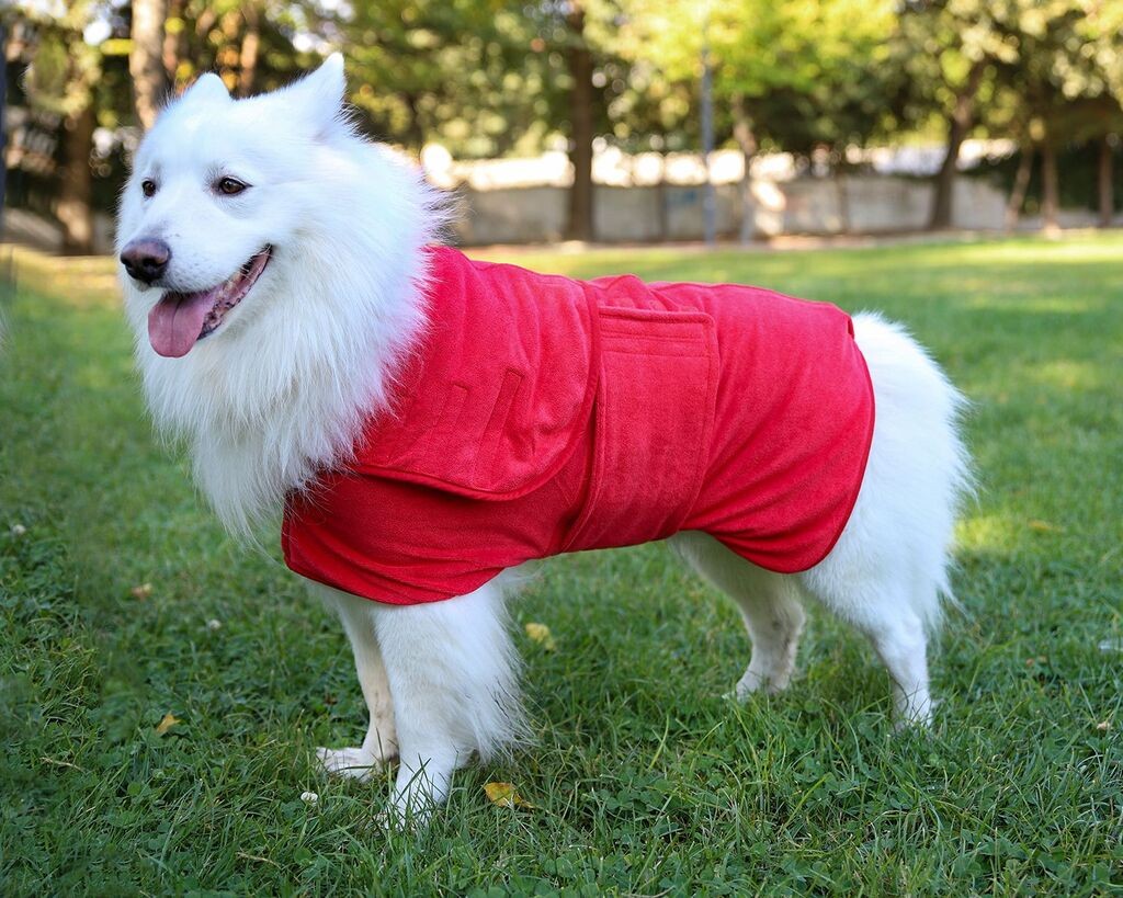 Палто за кучиња „Шепи и мустаќи", црвена