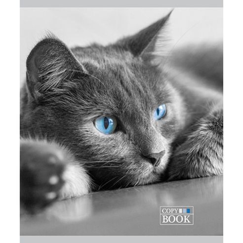 PZBM Тетратка, А5, Лакирана, 48 л., Каро, 027839