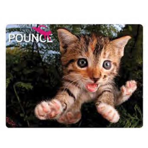 PRIME 3D Разгледница, Маче, 3D, 6 70889 18755 2, 16*12*0цм