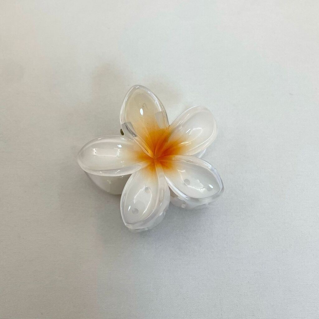 Tik Tok Шнола Цвеќе