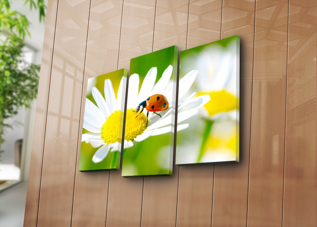 Слика на платно од 3 дела на Wallity