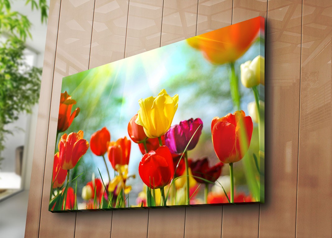 Слика „Волити" на платно 70x100 см