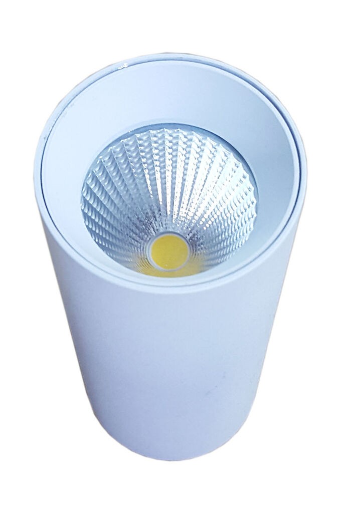 OnLight Бела LED лампа 10W 4000K OL19521/10W/VH