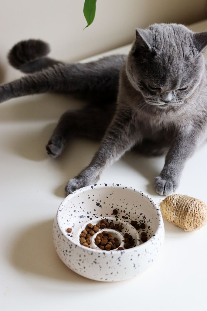 Чинија за кучиња Aberto Design BSPT050, 14x6 см, бела