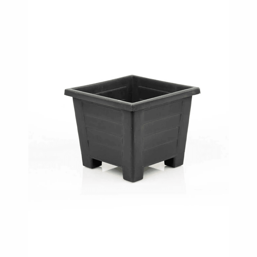 Serinova САКСИЈА С415