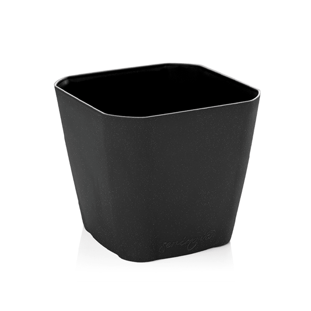 Serinova САКСИЈА СФС5 235Х220