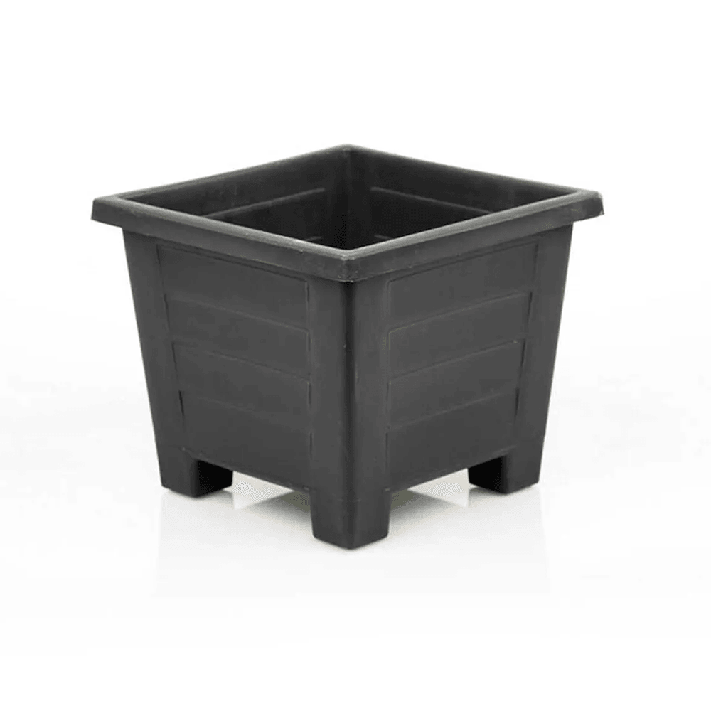 Serinova САКСИЈА С425