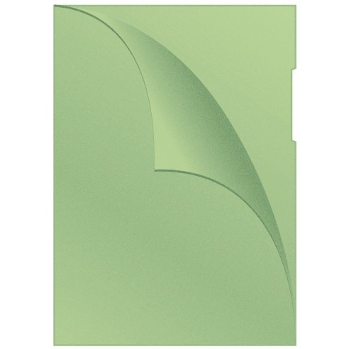 PBS Папка, L, А4, 1/1, KF00309 1/1, Зелена