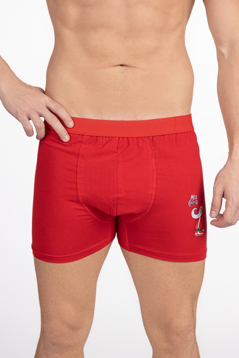 SF Машки боксерки SF NY FW 24