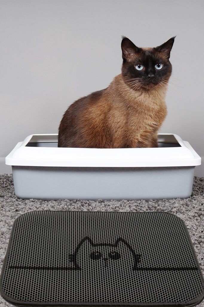 Conceptum Hypnose Mat за мачки Сокриј, 40x60, сива боја