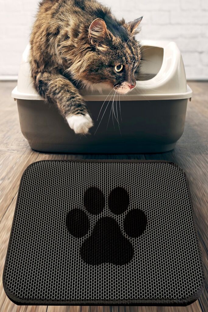 Conceptum Hypnose Cat Paw Mat, 40x60, сива боја