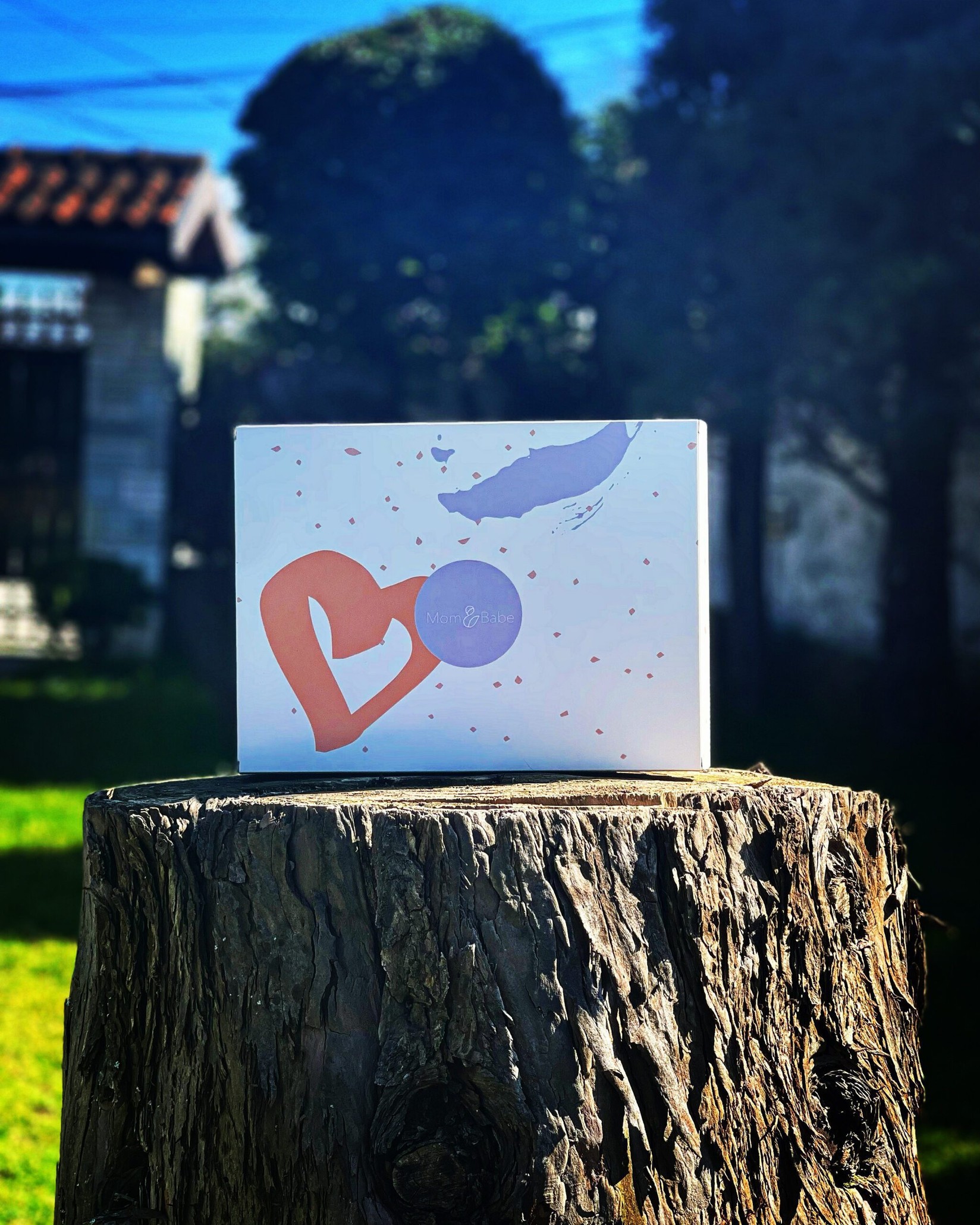 Mom & Babe Кутија за подарок - голема