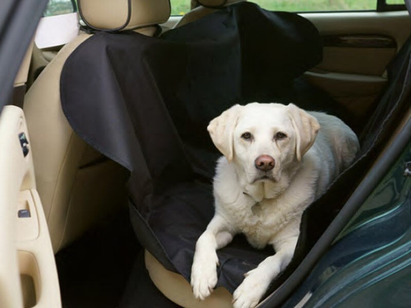 PETEX Универзална заштитна церада за задните седишта на автомобилот, 148х140см