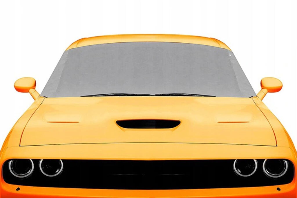 CARPASSION Визир Carpassion за предно стакло лето и зима 145-175x95cm, сив