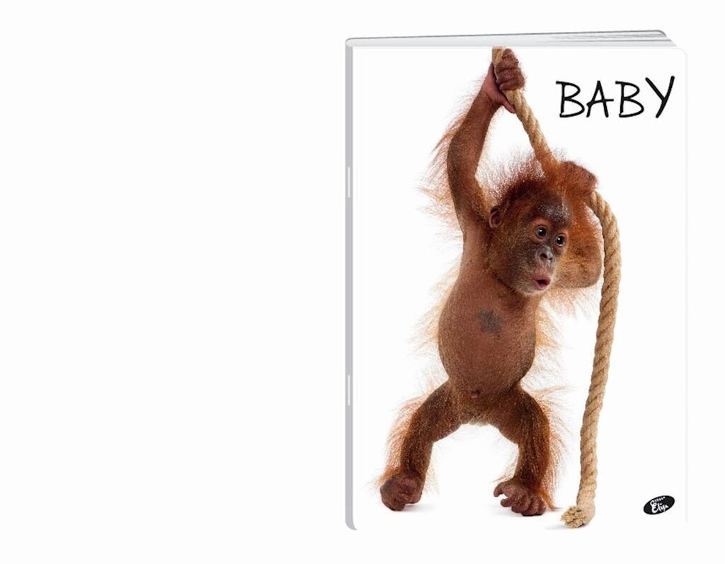 Тетратка А4 Квадрати 48Л.